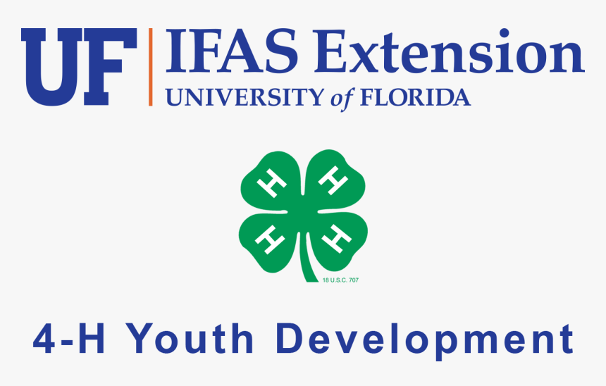 Uf Ifas 4h Youth Development - Florida 4 H, HD Png Download, Free Download