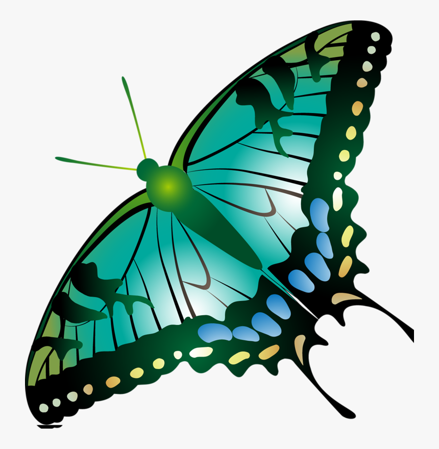 Image Du Blog Zezete2 - Papilio Machaon, HD Png Download, Free Download