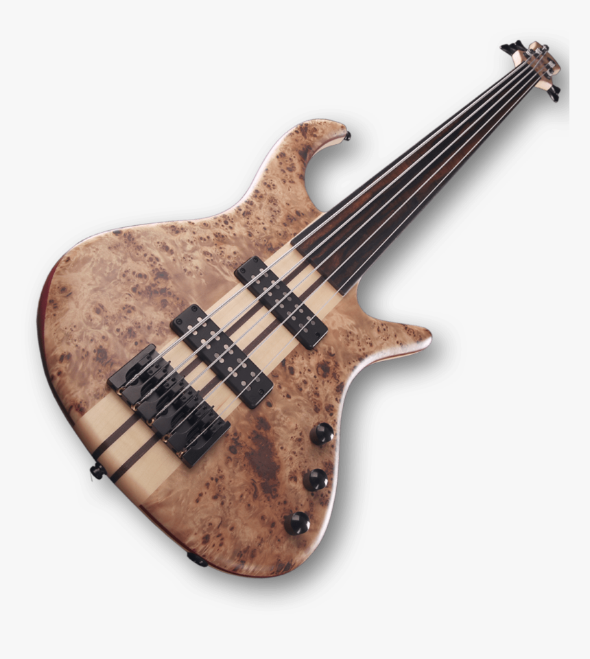 Bass Guitar, HD Png Download, Free Download