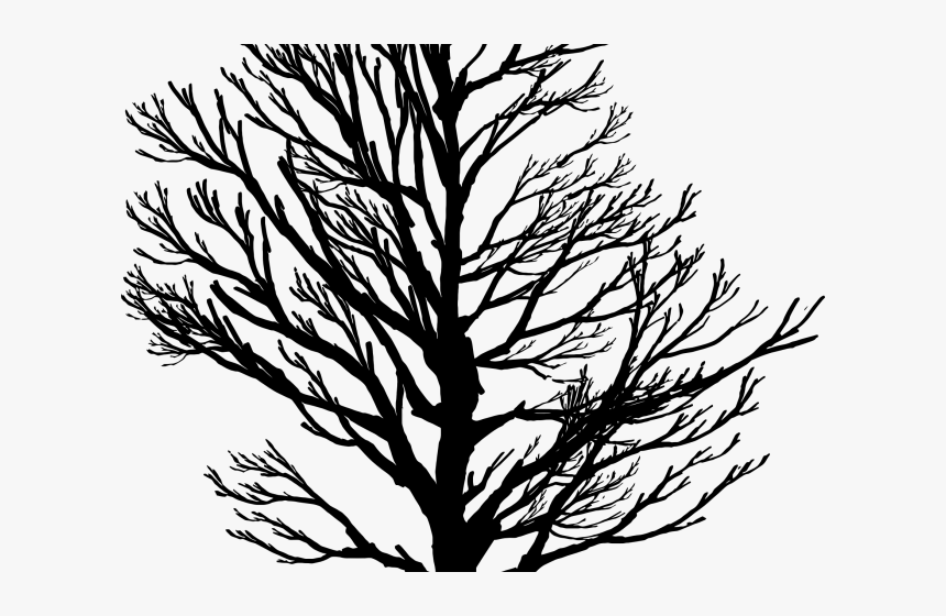 Sad Tree Wallpaper Hd, HD Png Download, Free Download