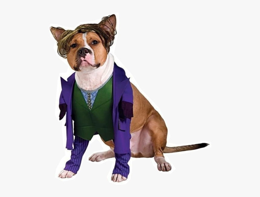 Joker Dog Costume, HD Png Download, Free Download