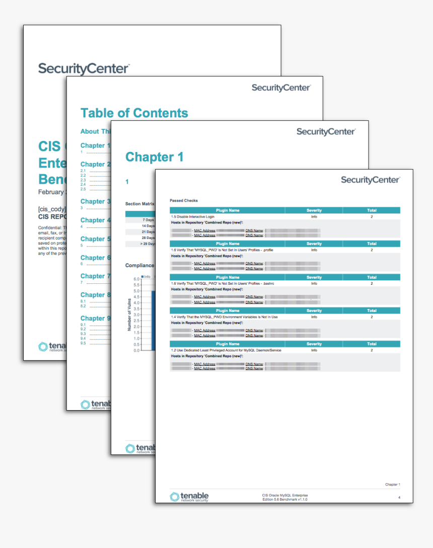 Tenable Sc Report Templates, HD Png Download, Free Download