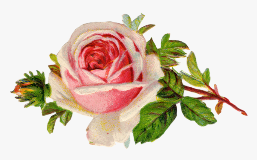 Free Vintage Rose Clip Art Clip Art, Free Printables - Transparent Background Vintage Flowers Clipart, HD Png Download, Free Download
