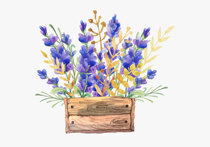 English Painting Flower Box - Flowers Drawing Watercolor, HD Png Download, Free Download