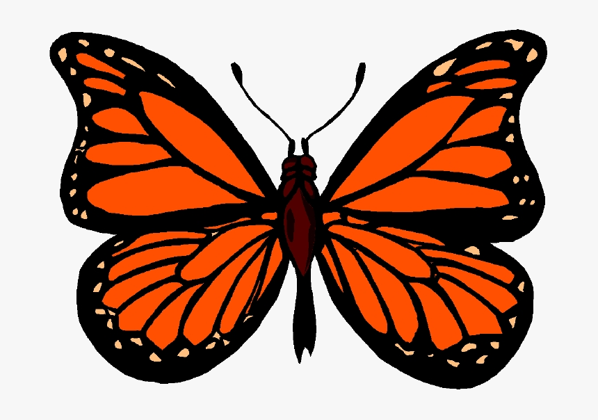 Butterfly Monarch Images Clip Art Image Transparent - Animated Beautiful Bu...