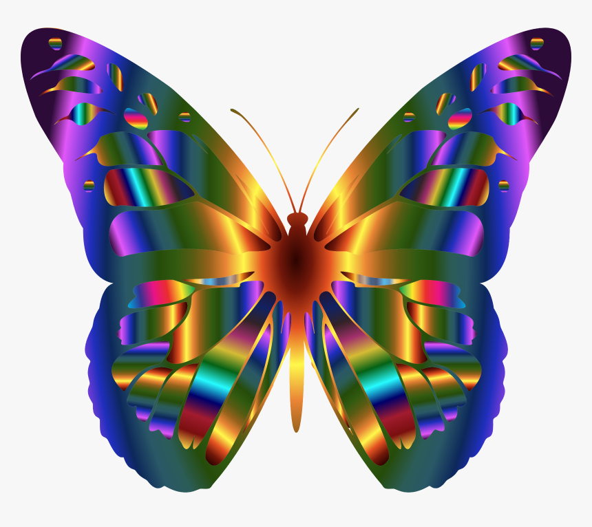 Iridescent Monarch Butterfly 2 Clip Arts - Real Rainbow Monarch Butterfly, HD Png Download, Free Download