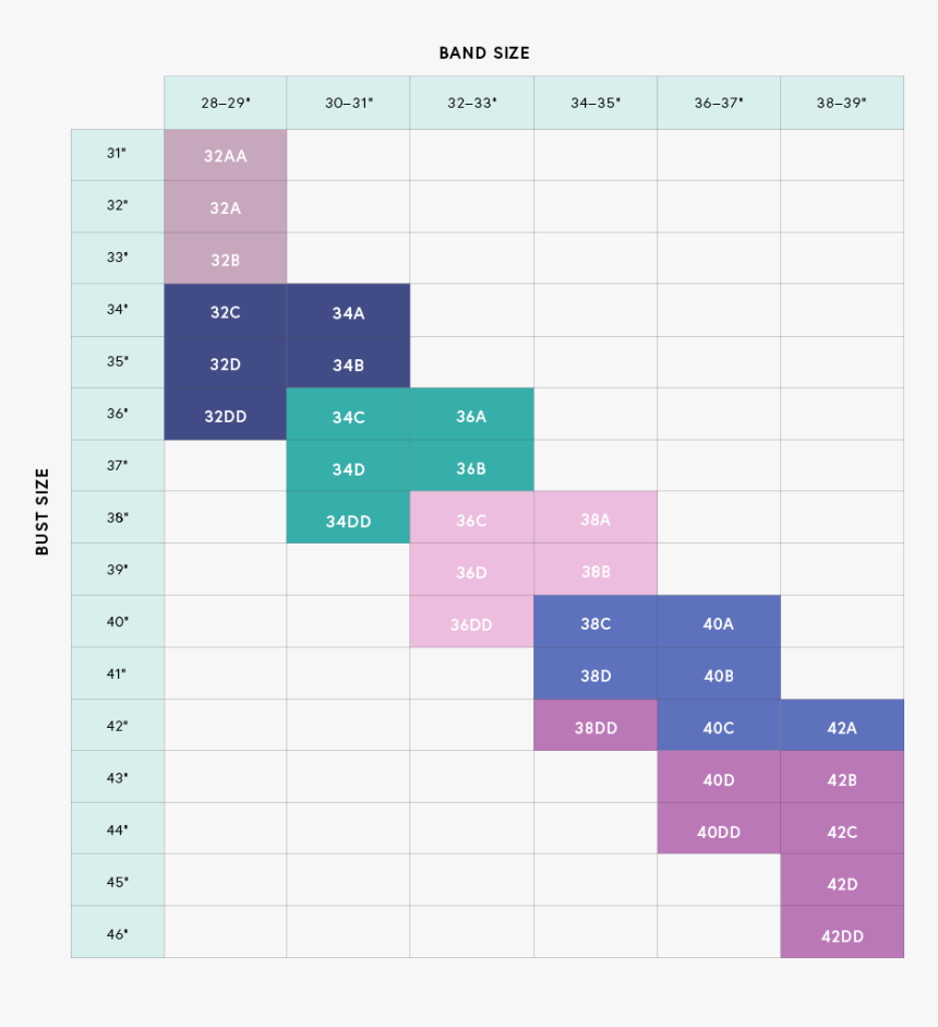 Ollie Gray Size Chart, HD Png Download, Free Download