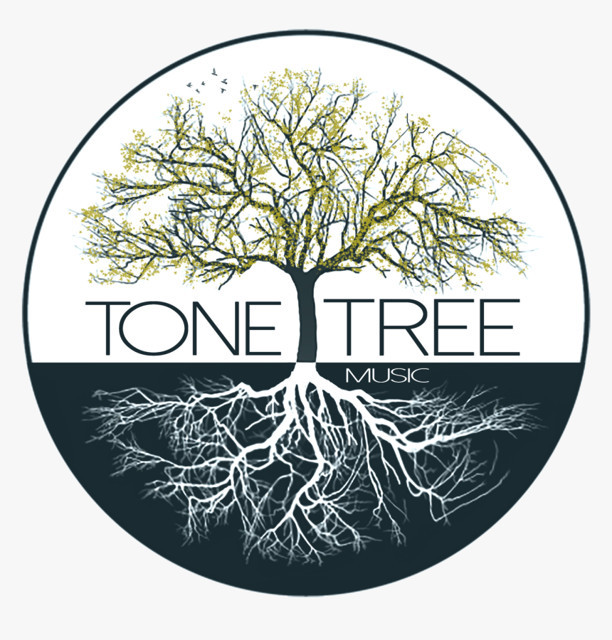 Vector Root Music - Tree And Music, HD Png Download, Free Download