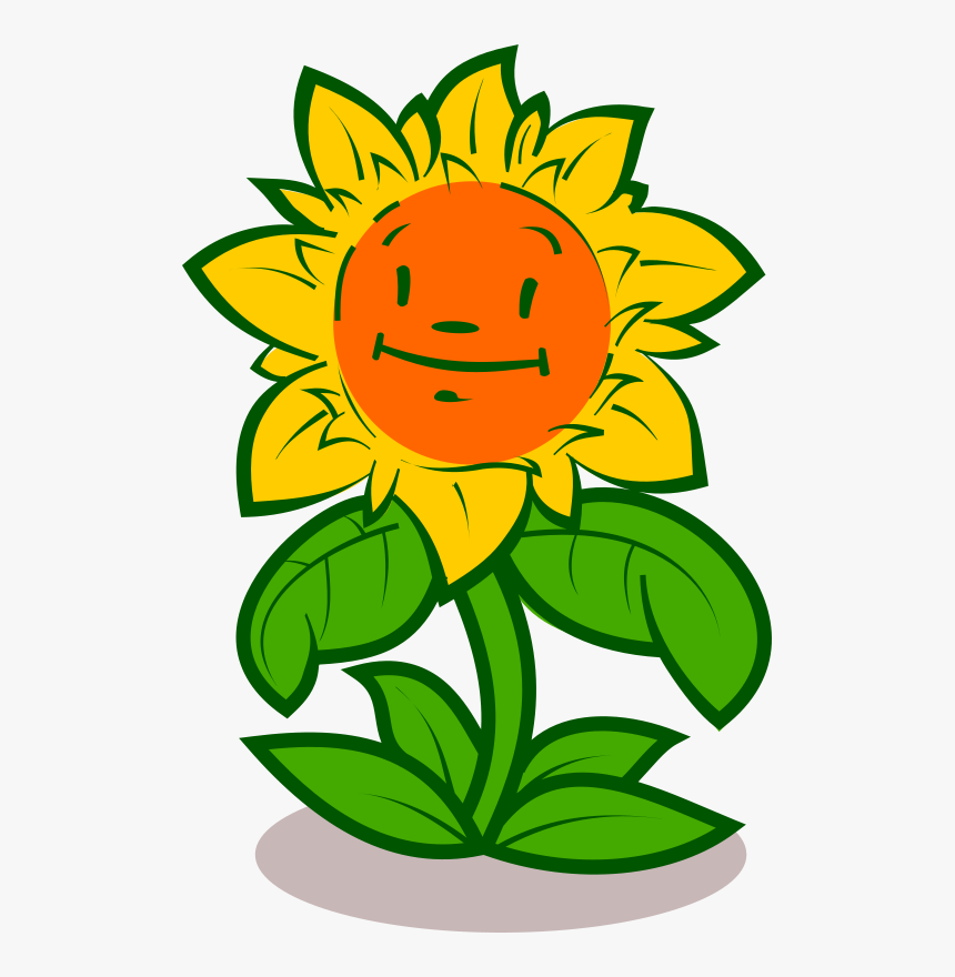 Daisy Family,plant,flower - Few Lines About Sunflower, HD Png Download, Free Download