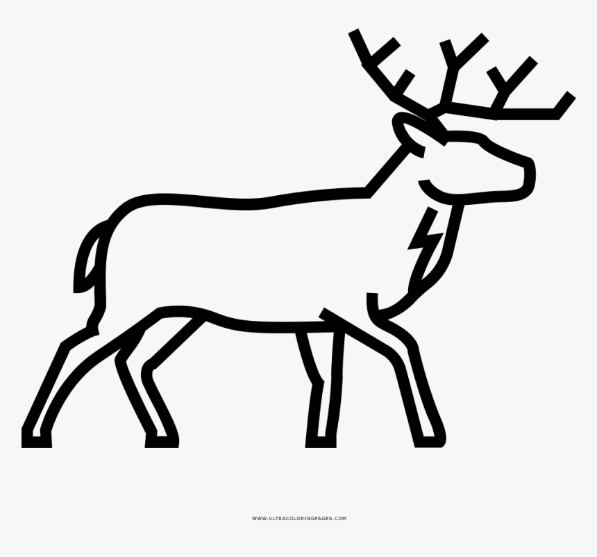 Deer Coloring Page, HD Png Download, Free Download