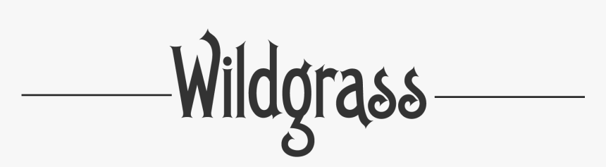 Wildgrass Studio - Calligraphy, HD Png Download, Free Download