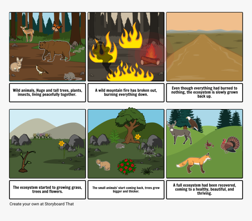 Succession Storyboard, HD Png Download, Free Download