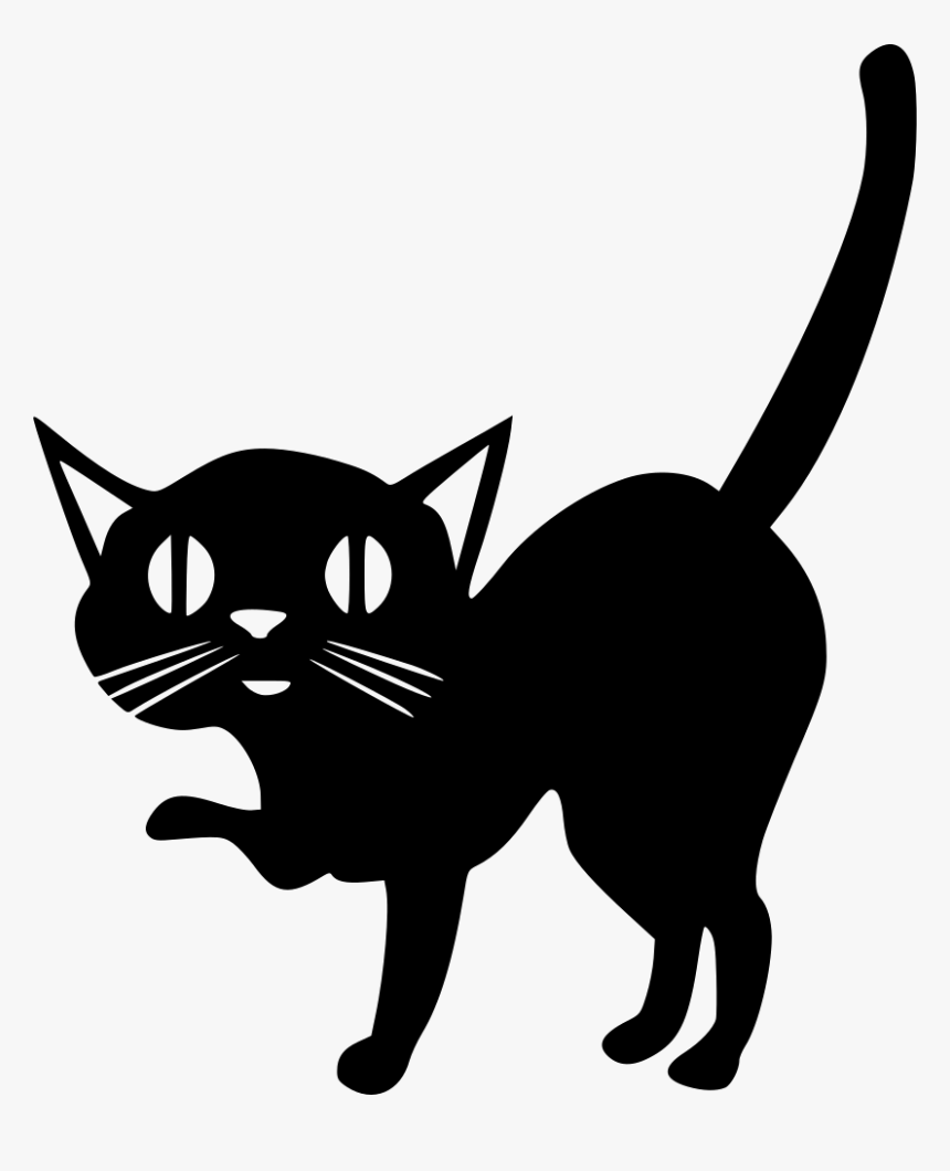 Cat Animal Black Shadow Tail - Cat Grabs Treat, HD Png Download, Free Download