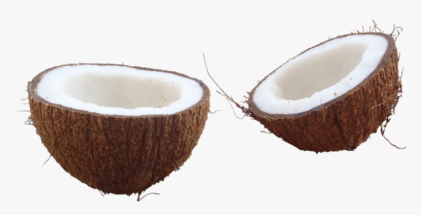 Broken Brown Coconut - Half Coconut Png, Transparent Png, Free Download