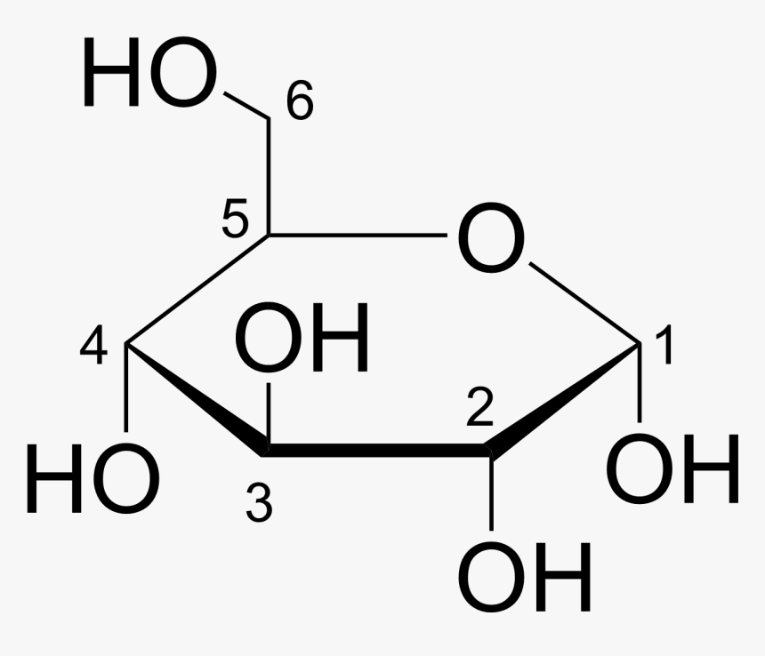 Transparent Glucose Png - Glucose Carbons, Png Download, Free Download