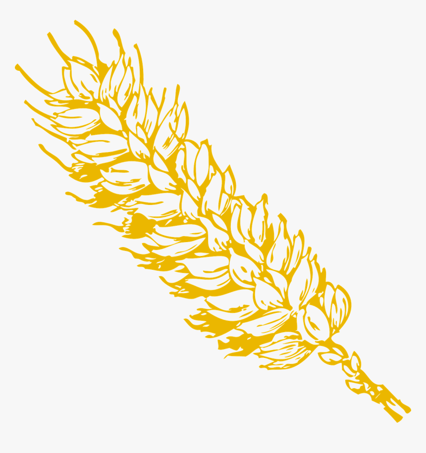 Wheat Clip Art, HD Png Download, Free Download