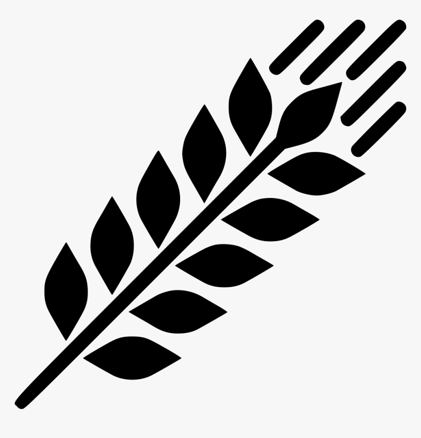 Grains - Grain Icon Png, Transparent Png, Free Download