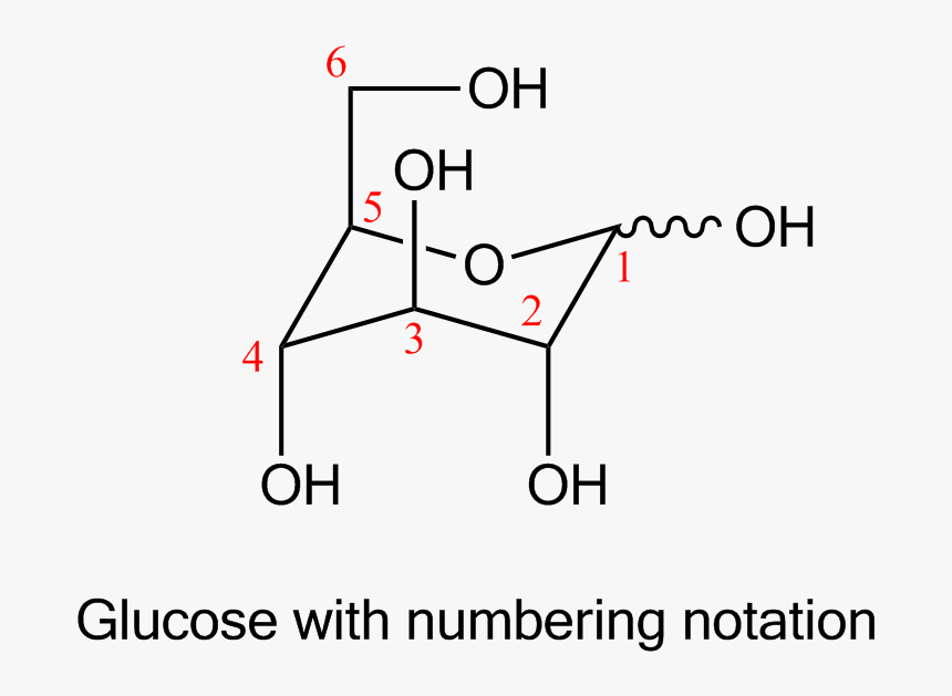 Glucose Lg - Glucose And Deoxyribose, HD Png Download, Free Download