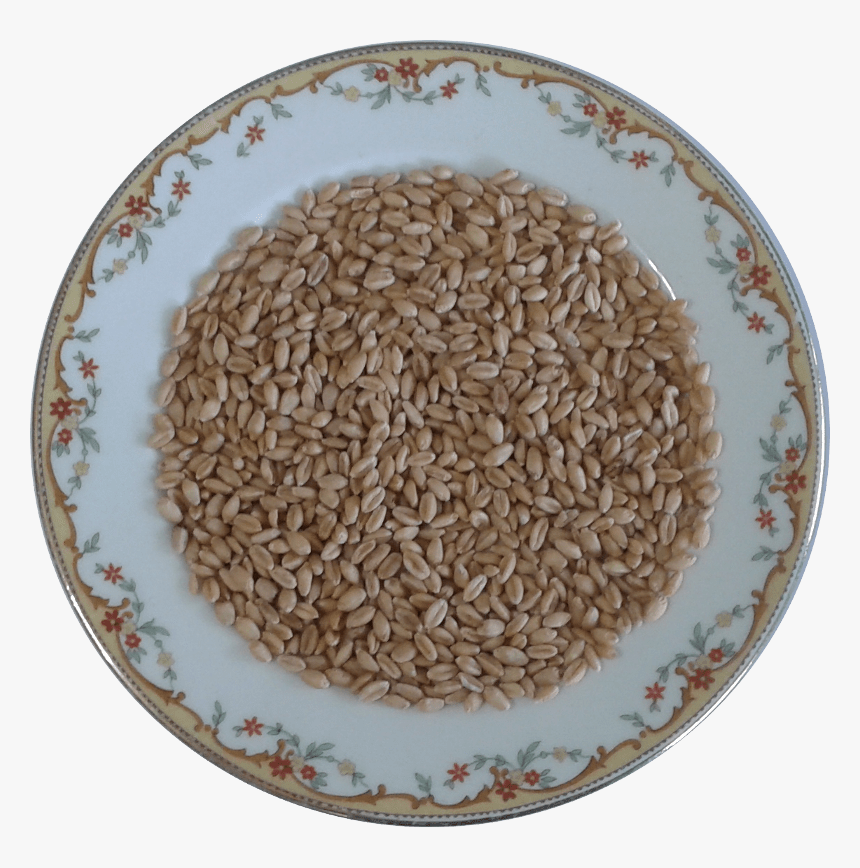 Dinkel Wheat, HD Png Download, Free Download