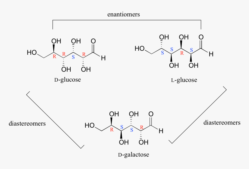 Image130 - D Glucose Enantiomer, HD Png Download, Free Download
