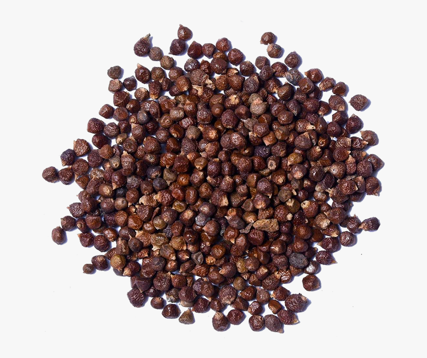 Tomar Seed, HD Png Download, Free Download