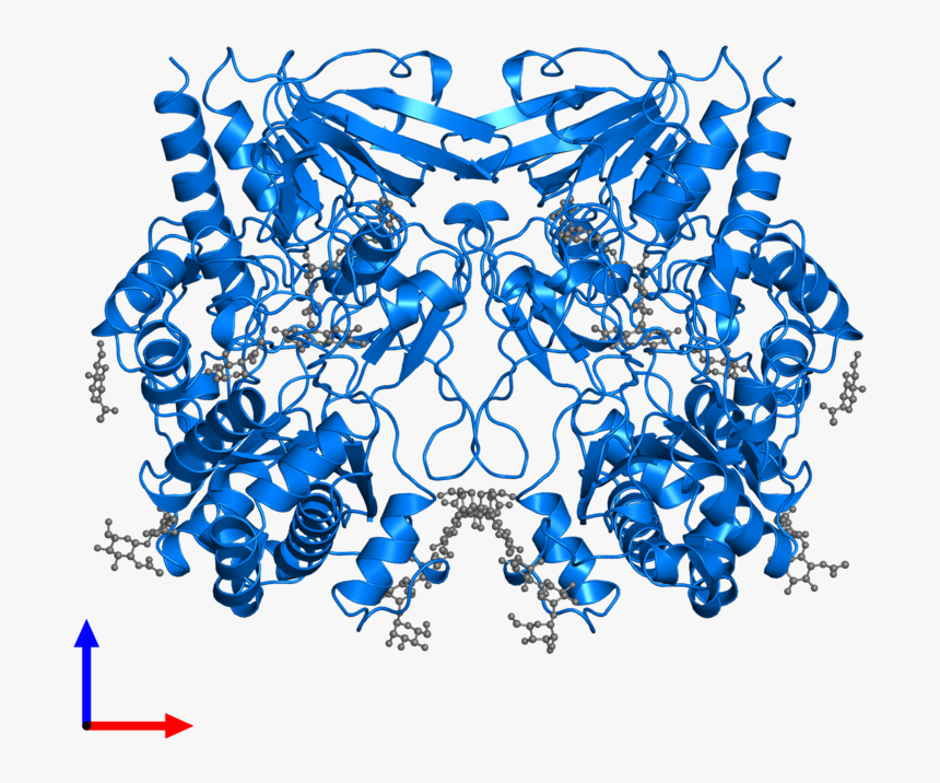 Glucose Oxidase Protein Bank, HD Png Download, Free Download