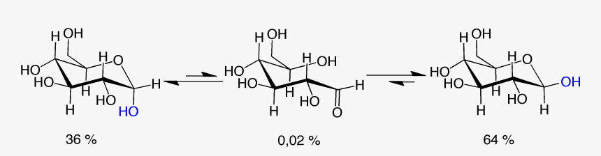 Mutarotation D-glucose V - Sugar Inversion, HD Png Download, Free Download