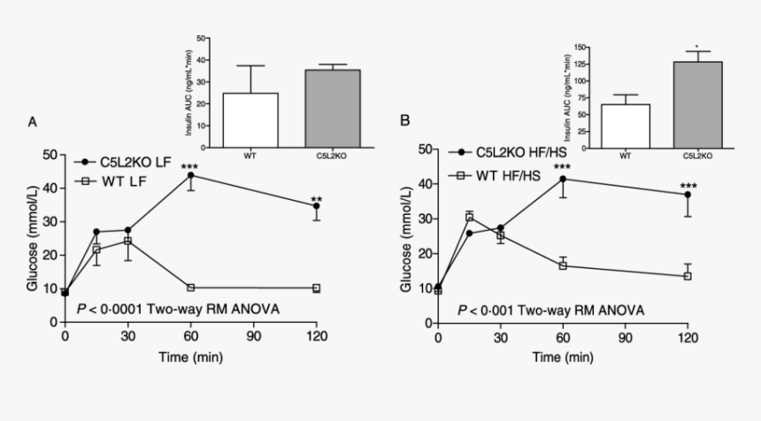 Glucose Tolerance Test Mouse Mmol, HD Png Download, Free Download