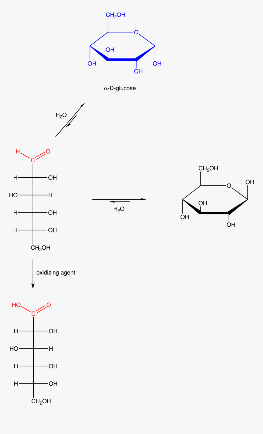 Reducing Group In Glucose, HD Png Download, Free Download