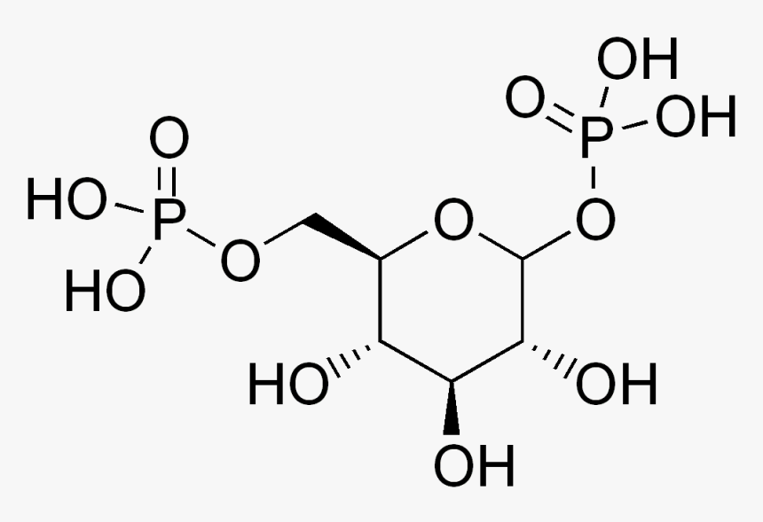 Transparent Glucose Png - 1 Deoxygalactonojirimycin, Png Download, Free Download