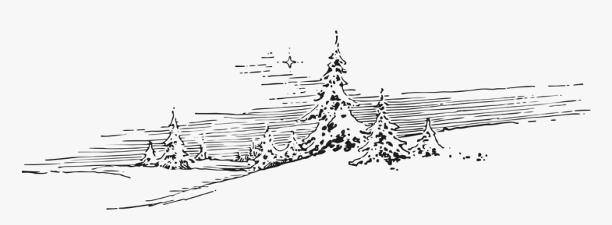 Winter, Snow, Evergreen, Pine, Christmas, Holiday - Winter Wonderland Clipart Black And White, HD Png Download, Free Download