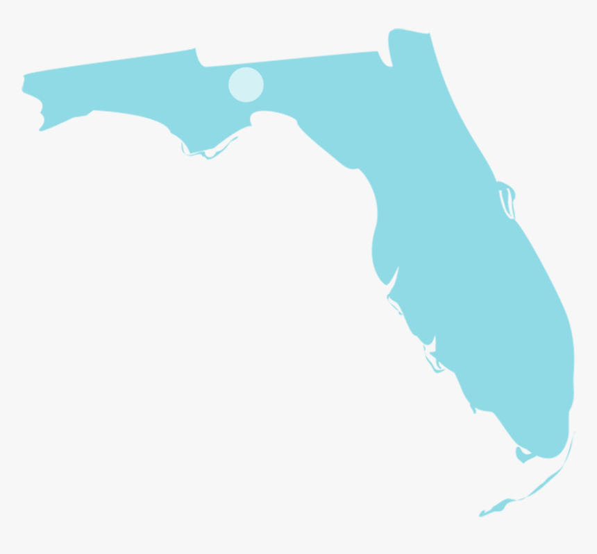 Florida State Silhouette, HD Png Download, Free Download
