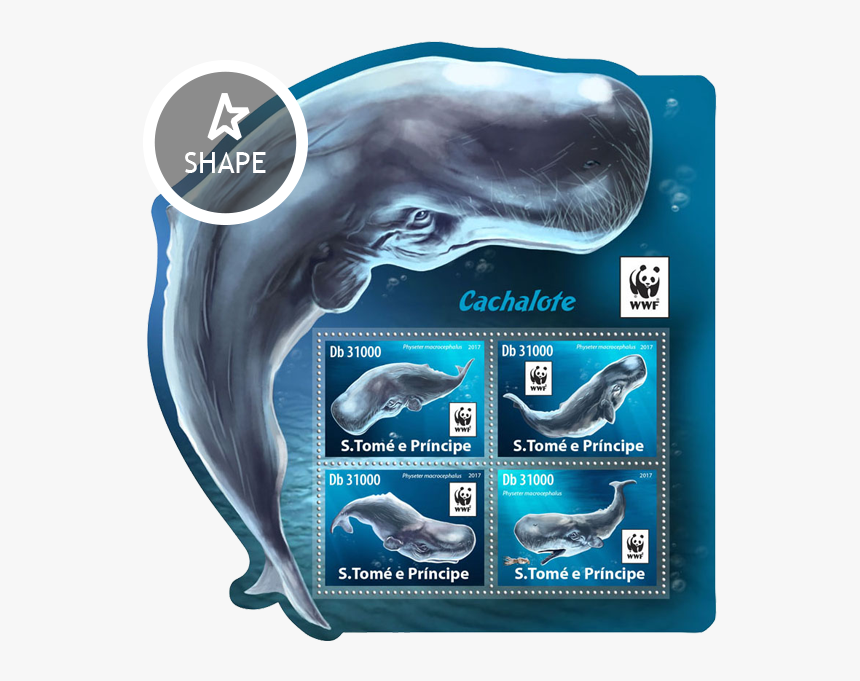 Issue Of Sao Tome And Principe Postage Stamps - Humpback Whale, HD Png Download, Free Download