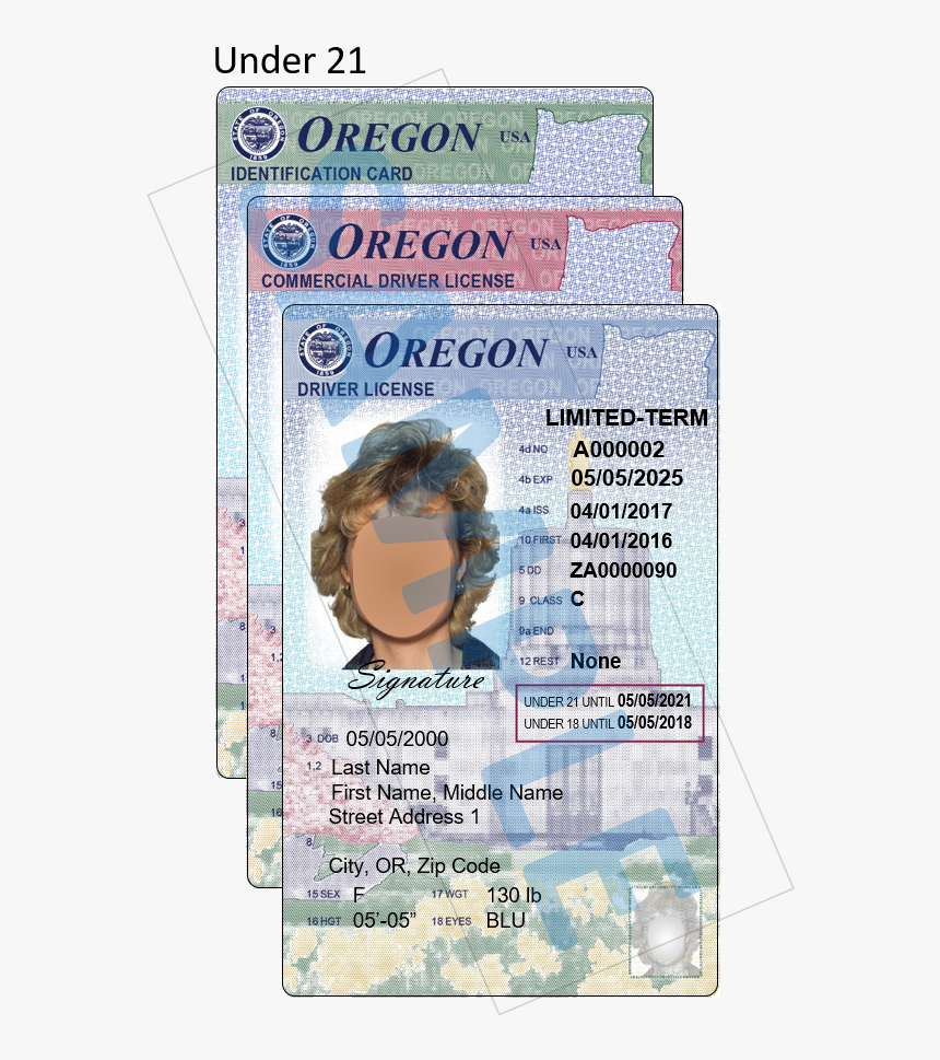 Photos Show Colorful New Oregon Driver License, Id - New Oregon Id Cards, HD Png Download, Free Download