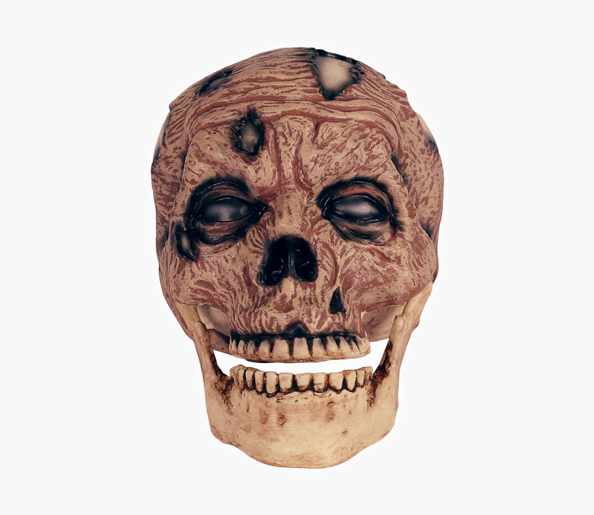 Zombie Head Png, Transparent Png, Free Download