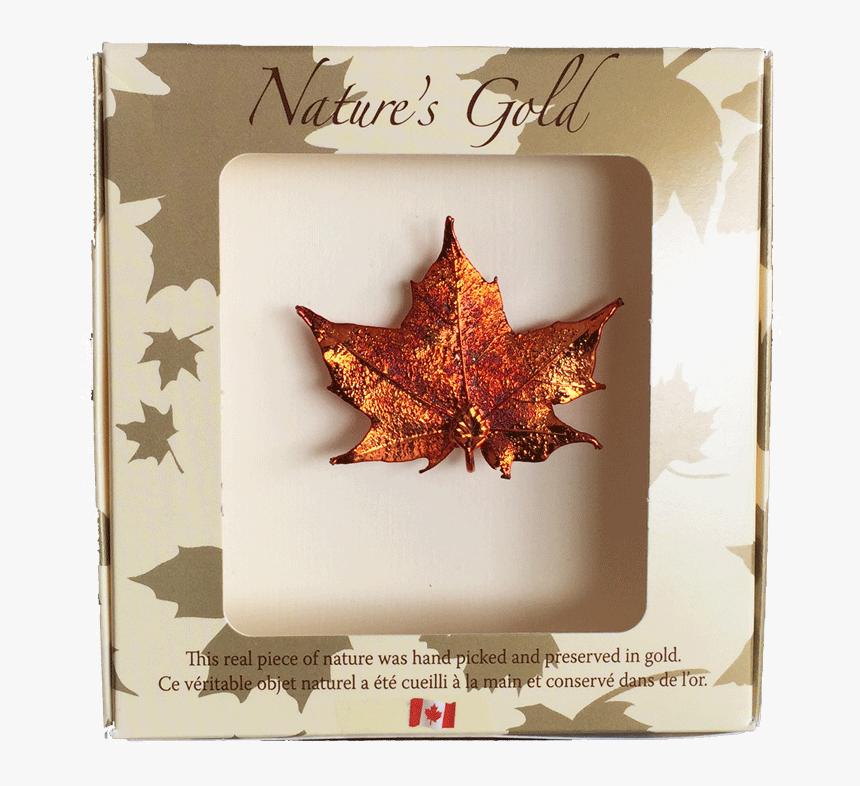 Natural Maple Leaf Canadian, HD Png Download, Free Download