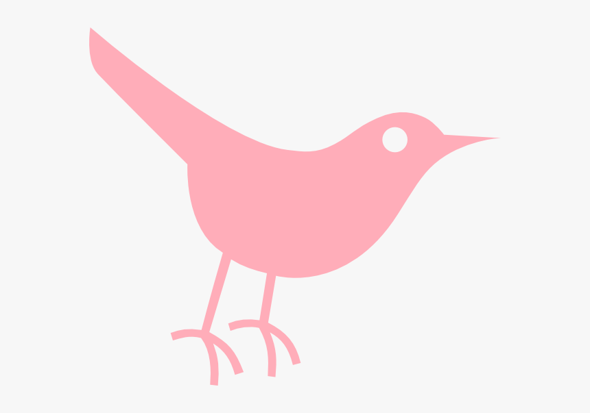 Transparent Pink Twitter Png - Bird Icon Png Free Download, Png Download, Free Download