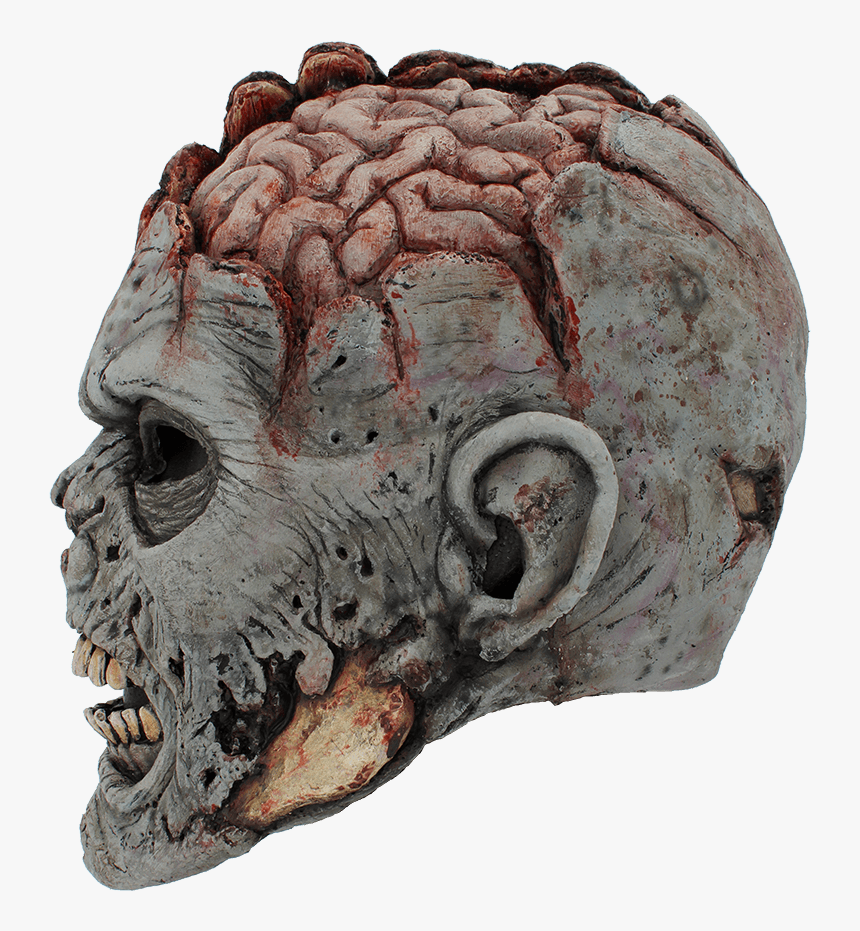 Open Brain Zombie Mask - Open Brain Zombie, HD Png Download, Free Download