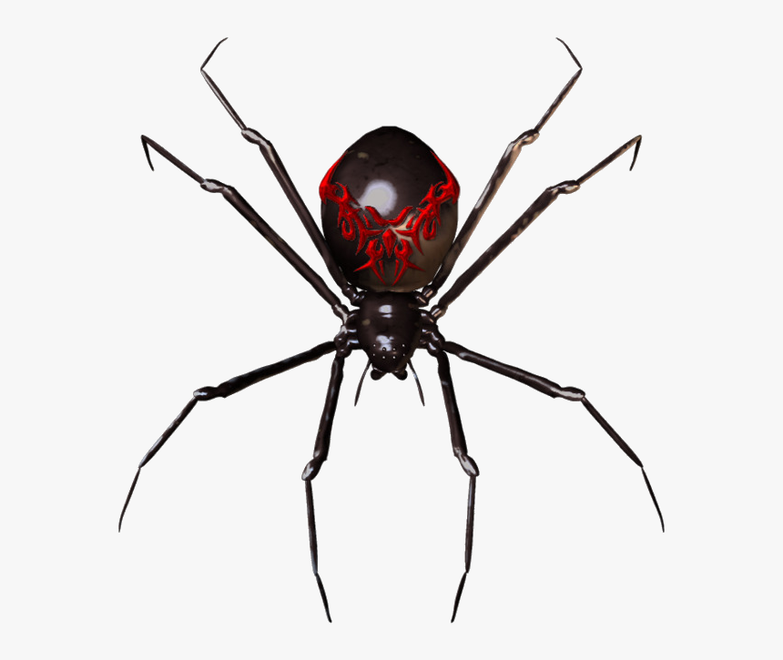 Spider Widget Clip Art Clipart Transparent Png - Black Widow Spider Transparent, Png Download, Free Download