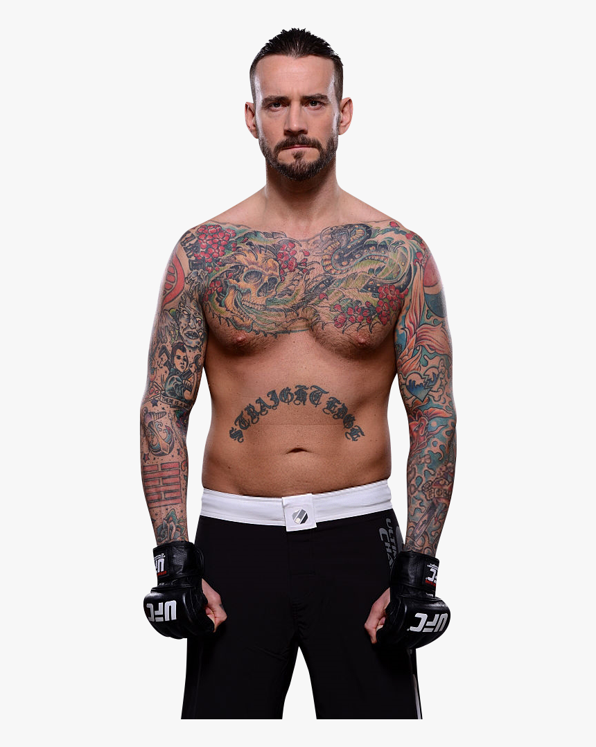 Cm Punk Wwe World Heavyweight Champion, HD Png Download, Free Download