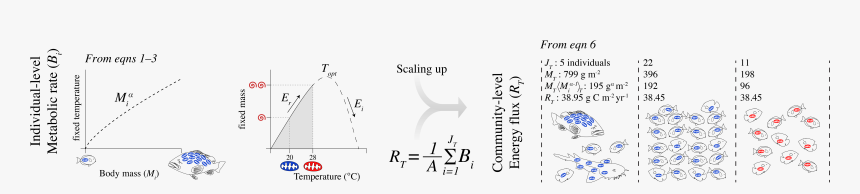 Diagram, HD Png Download, Free Download