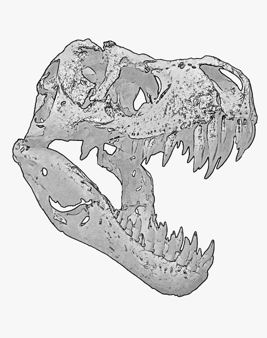 T Rex Skull - T Rex Skull Png, Transparent Png, Free Download