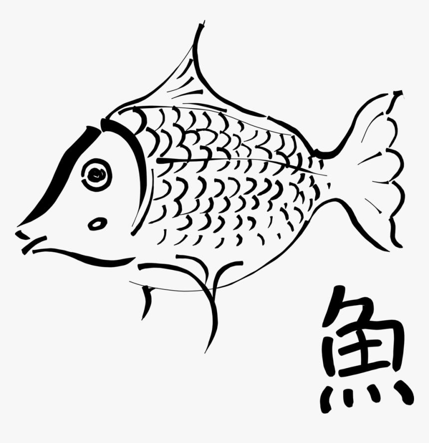 Koi Fish Scale Drawing Food - Outline Of A Fish, HD Png Download, Free Download