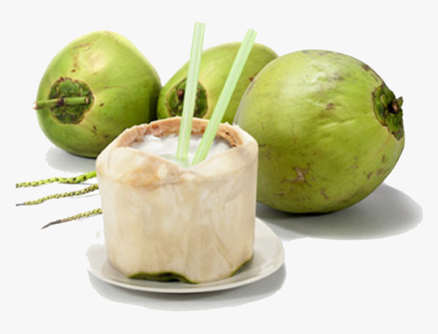 Fresh Coconut - Coconut Juice Png, Transparent Png, Free Download