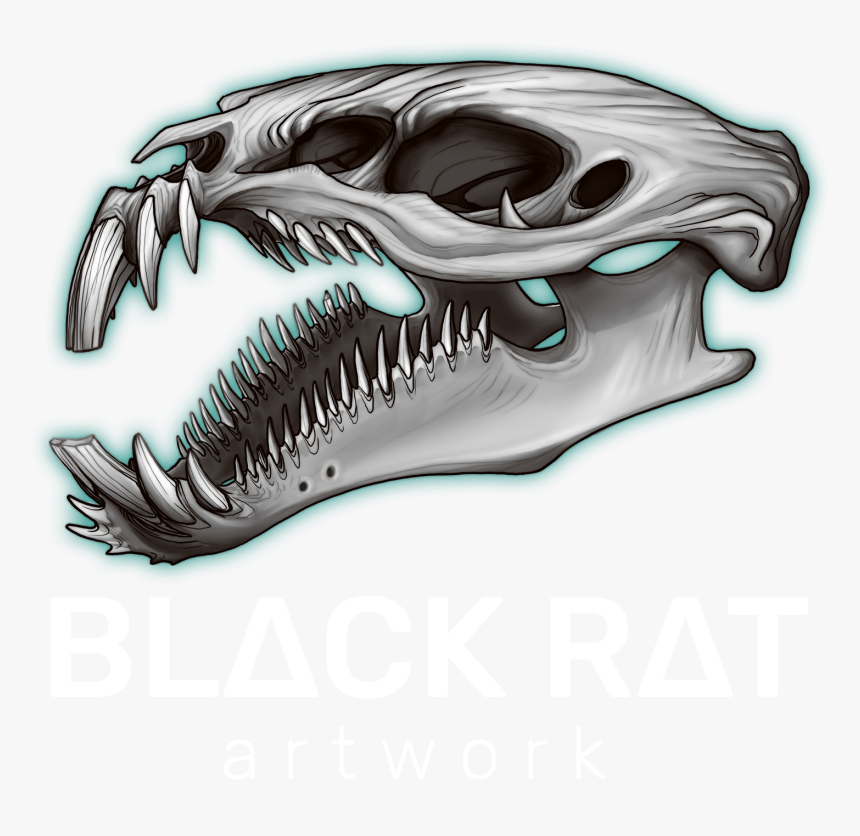 Transparent Rat - Skull, HD Png Download, Free Download