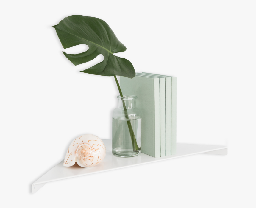 Shelf, HD Png Download, Free Download