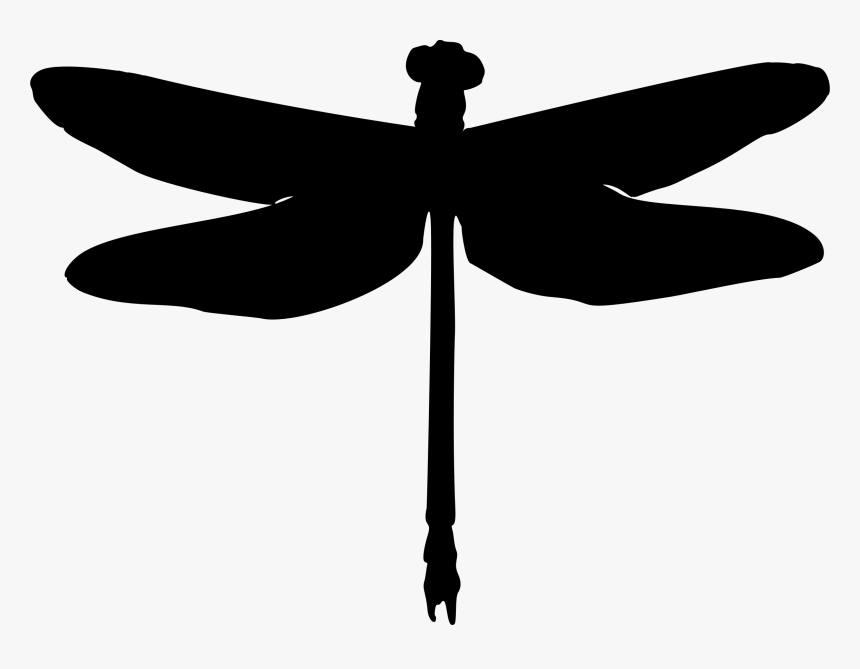 Medium Image Png - Clipart Silhouette Dragonfly, Transparent Png, Free Download
