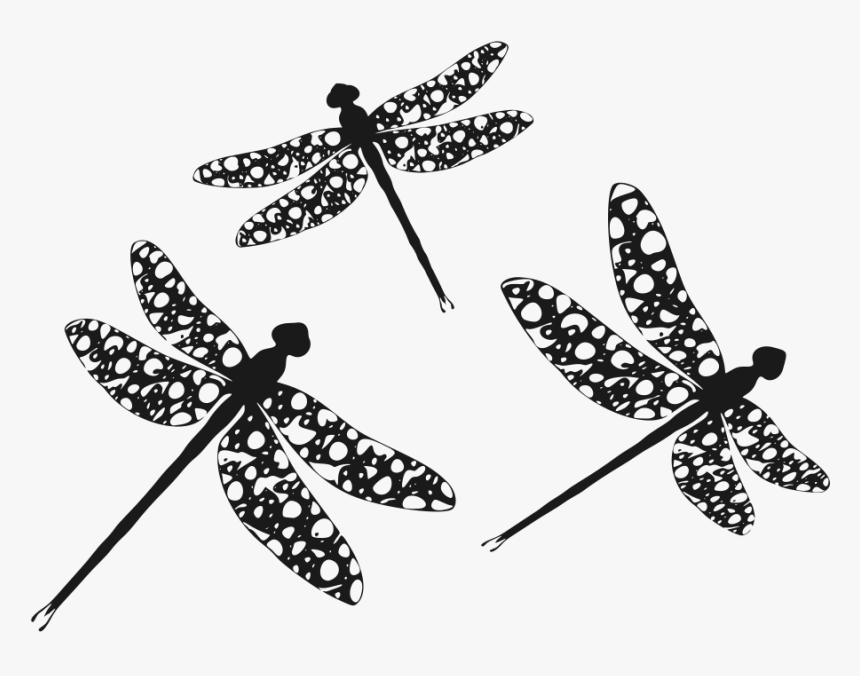 Silhouette Dragonfly Clip Art - Dragonfly Silhouette Clip Art, HD Png Download, Free Download