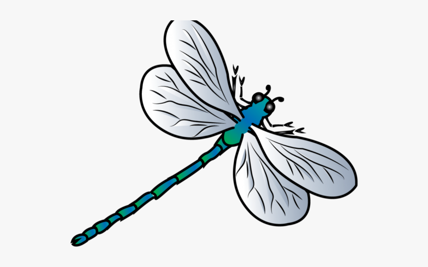 Free Dragonfly Clipart - Dragonfly Clipart Png, Transparent Png, Free Download