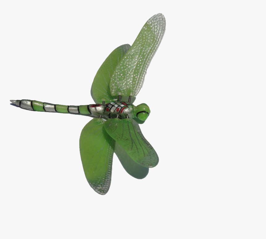 Dragonfly Clip Art Photo - Free Green Dragonfly Clipart, HD Png Download, Free Download